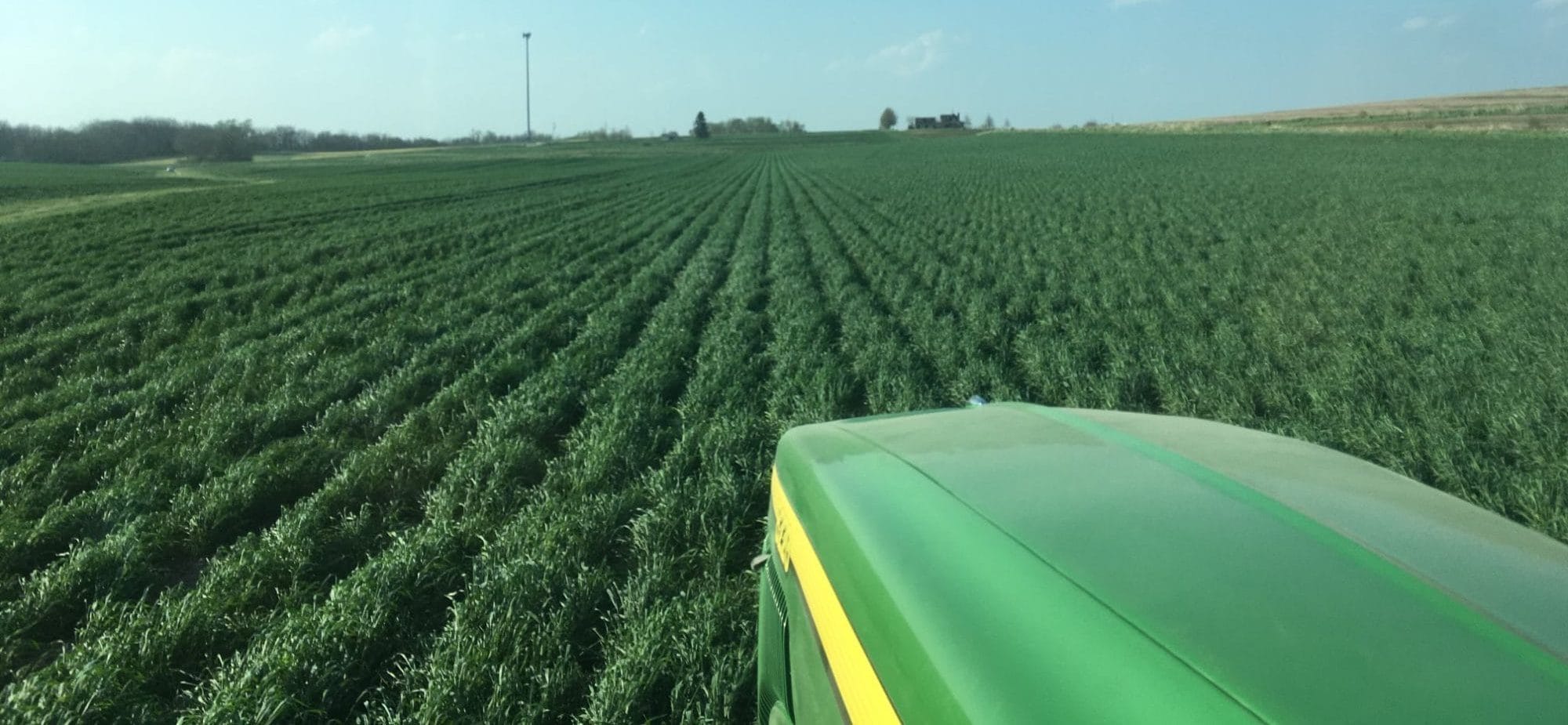 A view of a field out the front window of Ron's tractor as he plants corn into a field of living rye.
