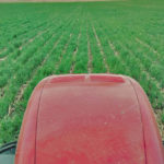 Red tractor in a field