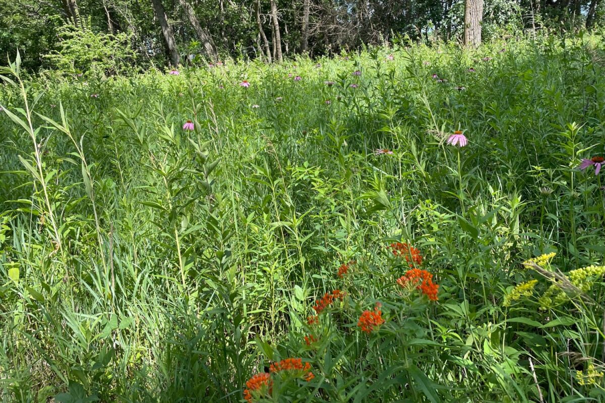Precision Conservation Analysis: The Benefits of Habitat
