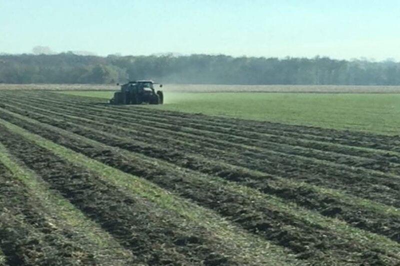 Incorporating Livestock With Small Grains and Cover Crops: Lessons From a Century Farm