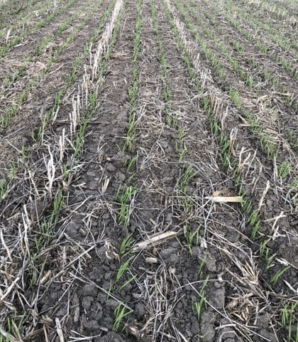 OatsMarch26