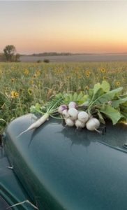 Wade Dooley cover crop