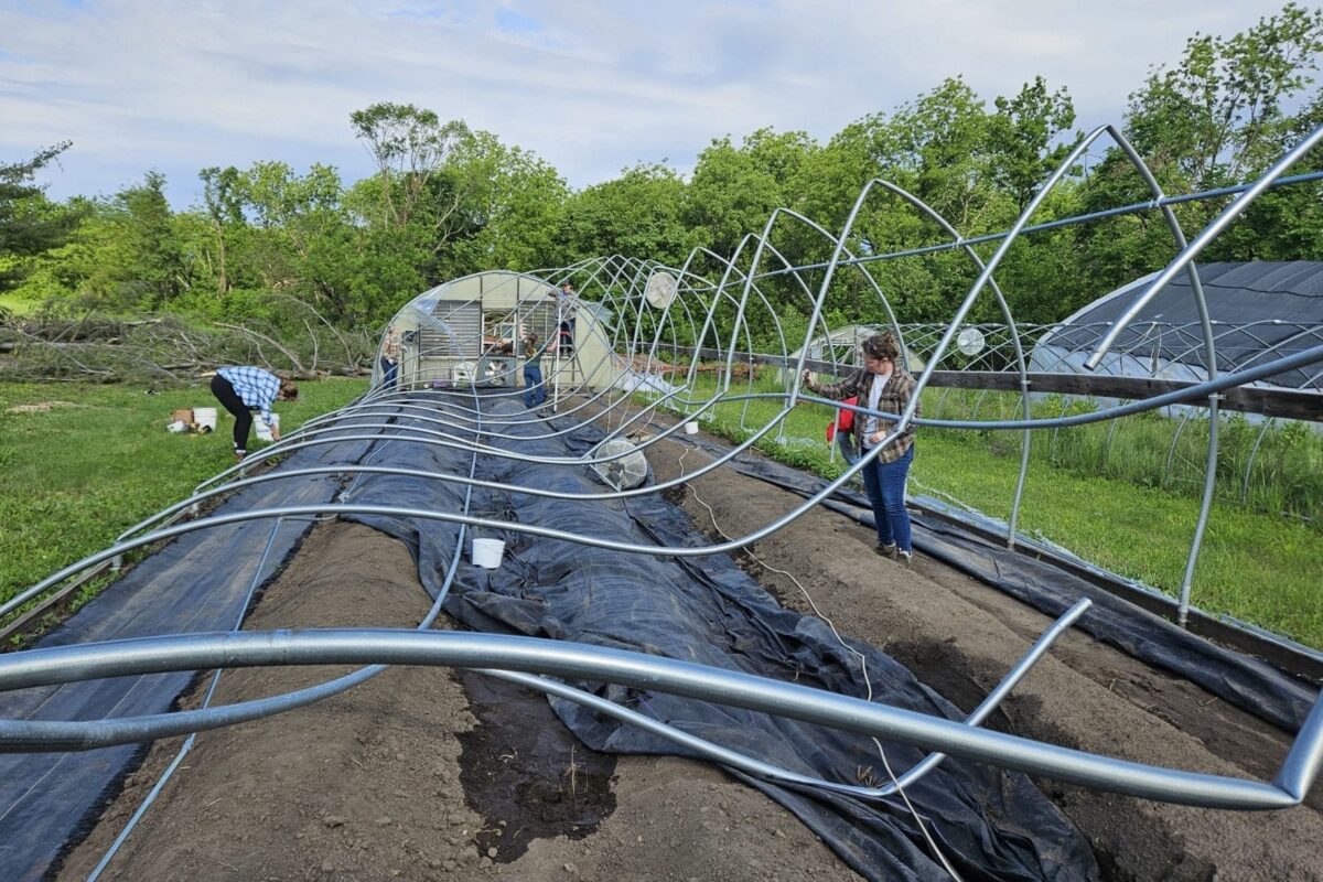 Mounting Insurance Challenges Face Specialty Crop Farmers in Iowa