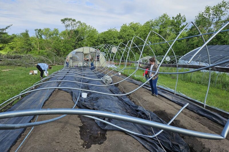 Mounting Insurance Challenges Face Specialty Crop Farmers in Iowa