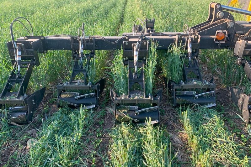 Refining Roll-Crimping Practices: A Summary of Seven Years of PFI Cooperator Research