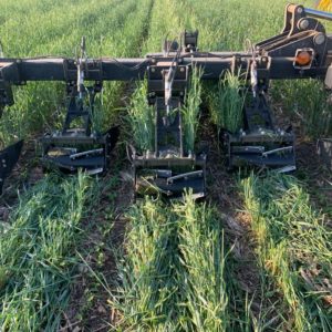 In row roller crimp square