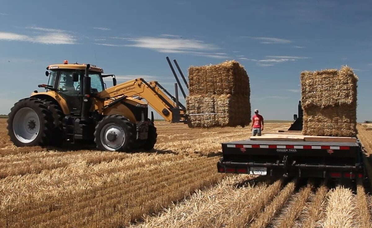 Exploring Opportunities for Marketing Wheat Straw