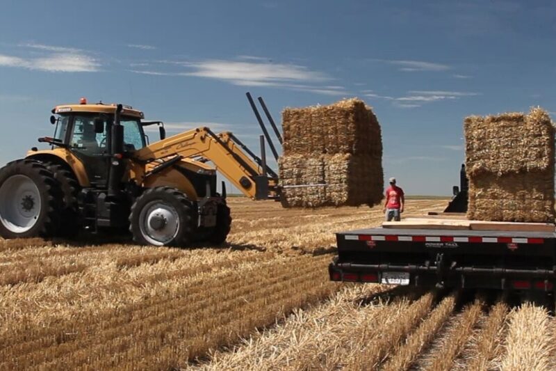 Exploring Opportunities for Marketing Wheat Straw