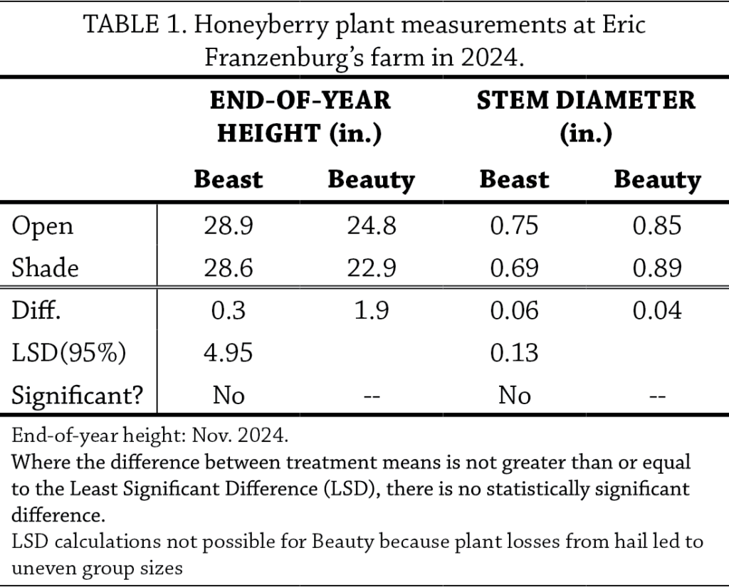 Honeyberry t1