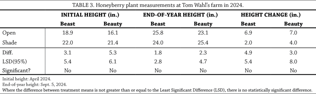 Honeyberry t3