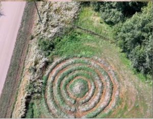 Sandro’s mandala farm