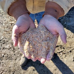 Ryan Wallace grains in hand