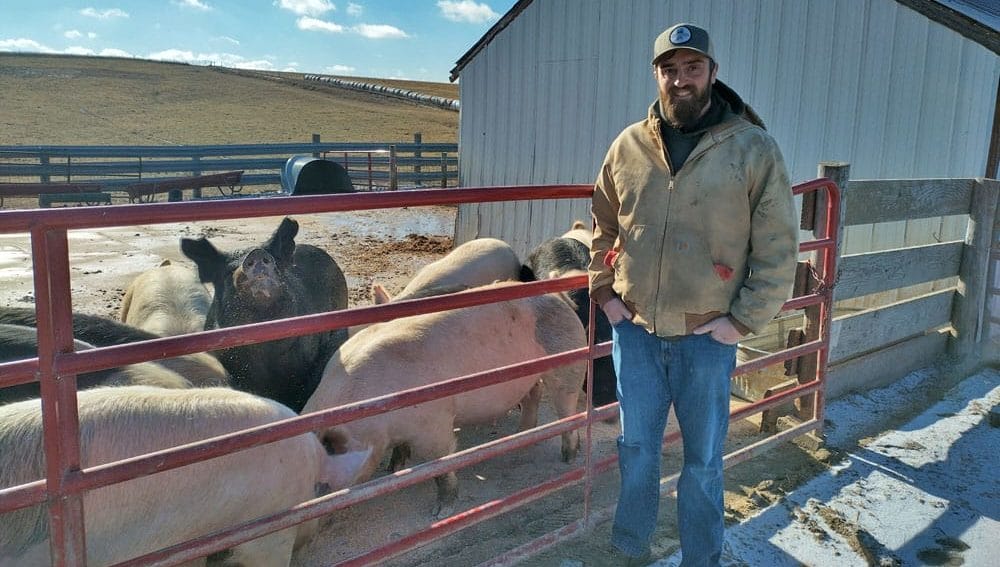 Ryan Wallace pigs