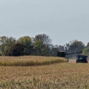 HiemstraHarvest (2)