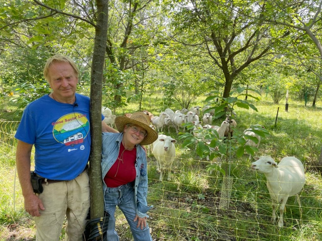 Tom Kathy Sheep Trees