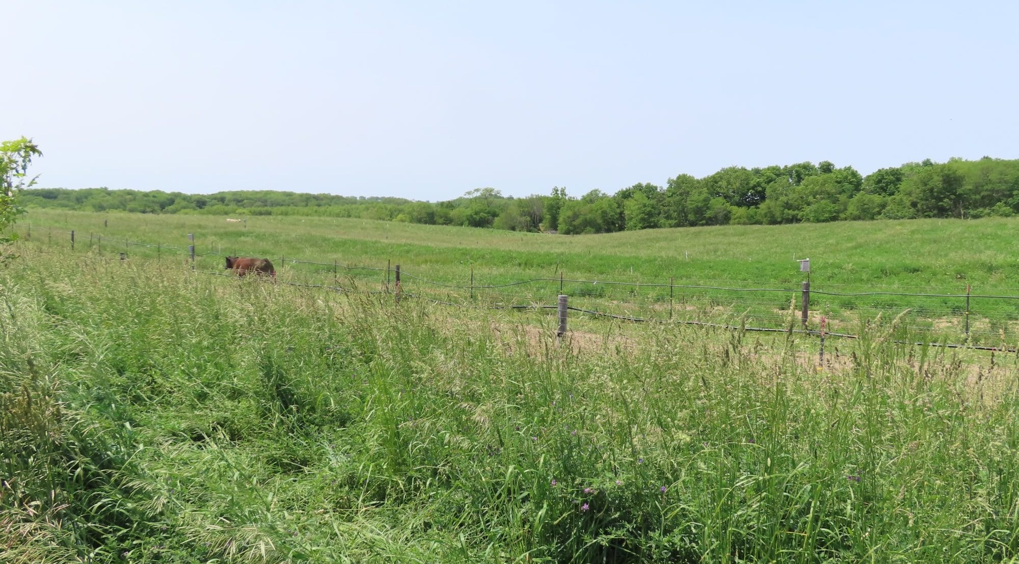 20250531 FarmVisit Wilson 06