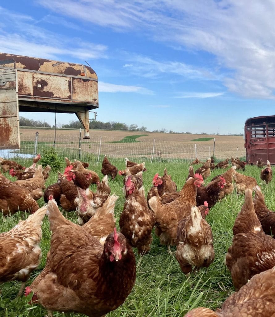 494108959 699724796074117 6965226569435299991 n