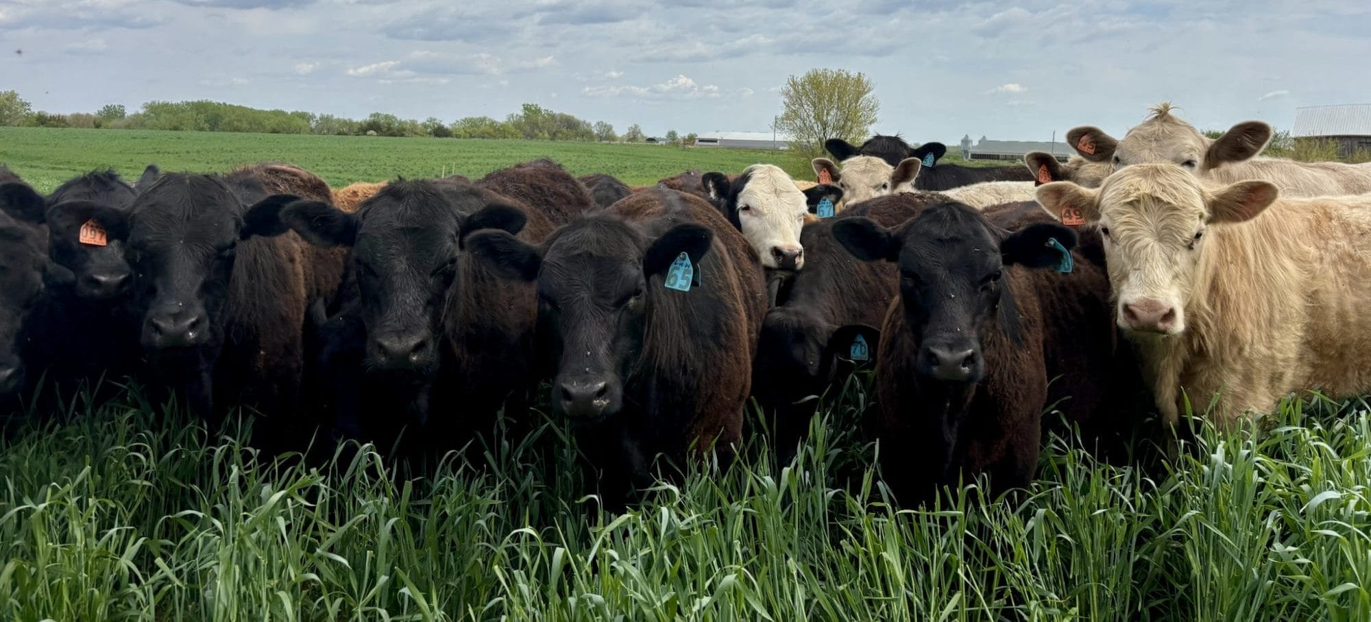 494917900 699721986074398 610525949920551332 n