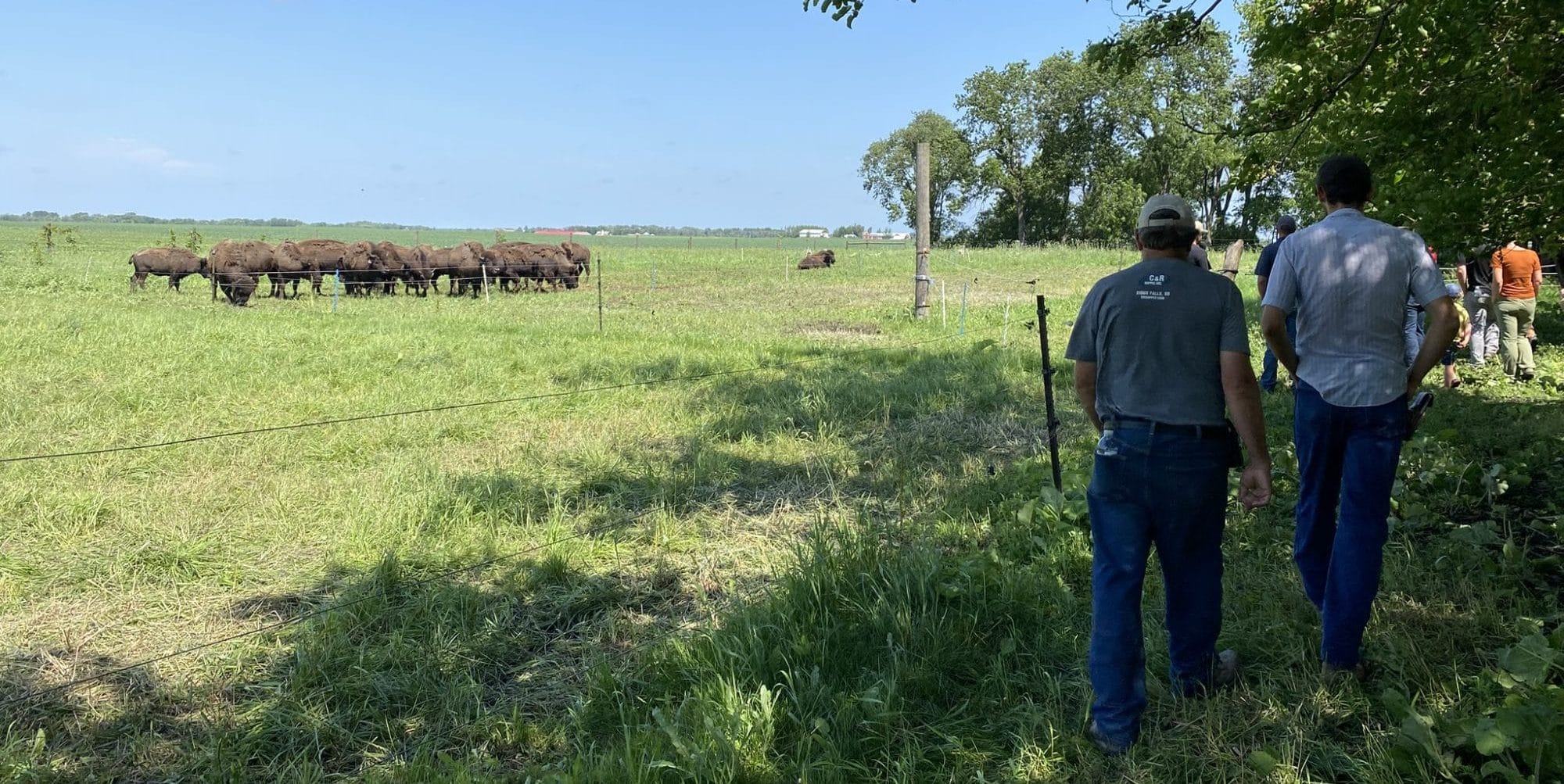 Field day attendees at Sleepy Bison Acres