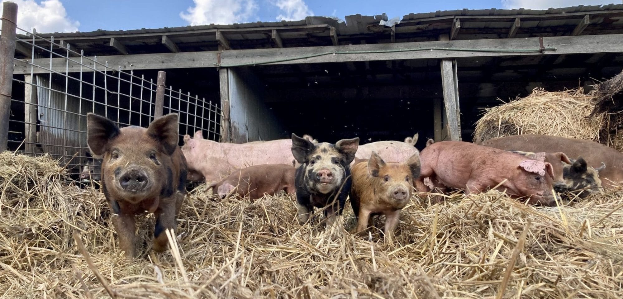 Screenshot 2025 09 02 at 12.06.57 PM