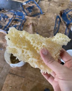 Screenshot 2025 09 02 at 12.07.07 PM