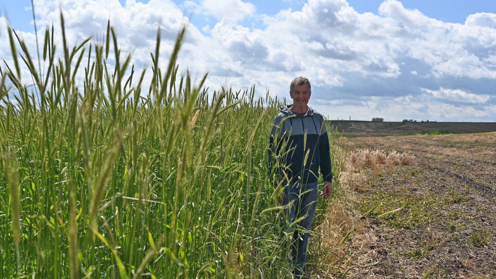 Jim Pelzer with rye or wheat