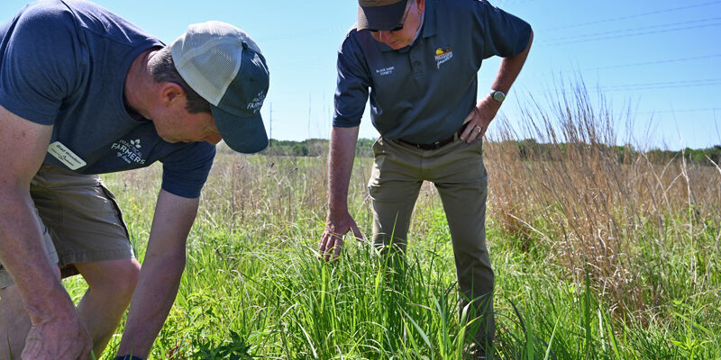 Pheasants Forever - examining prairie at Robisky field day