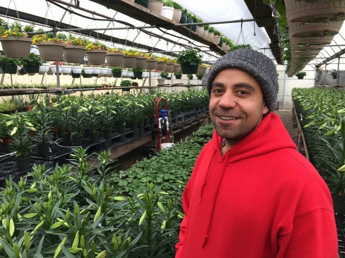 Diversifying With Ornamentals