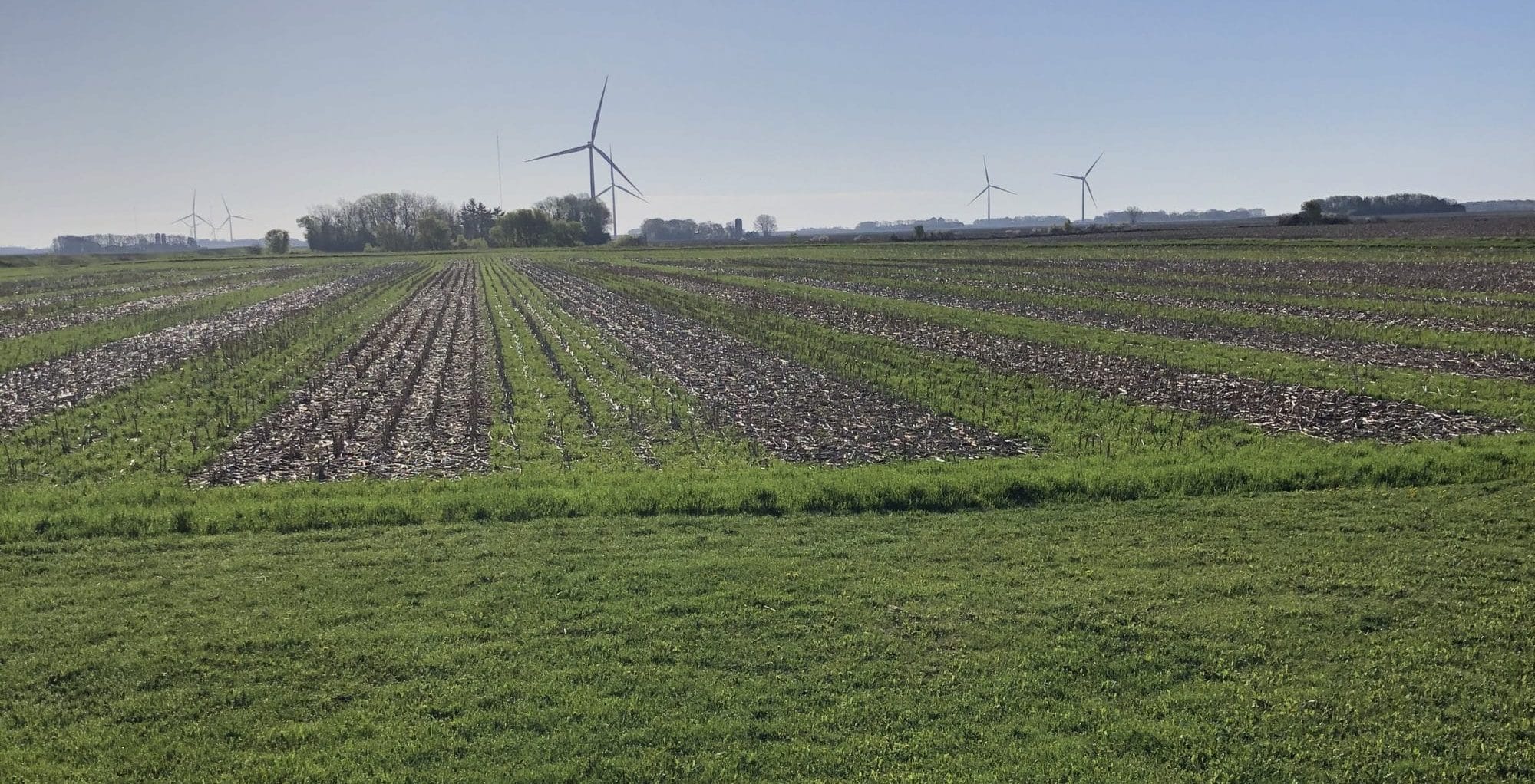 Tracy Skaar Research