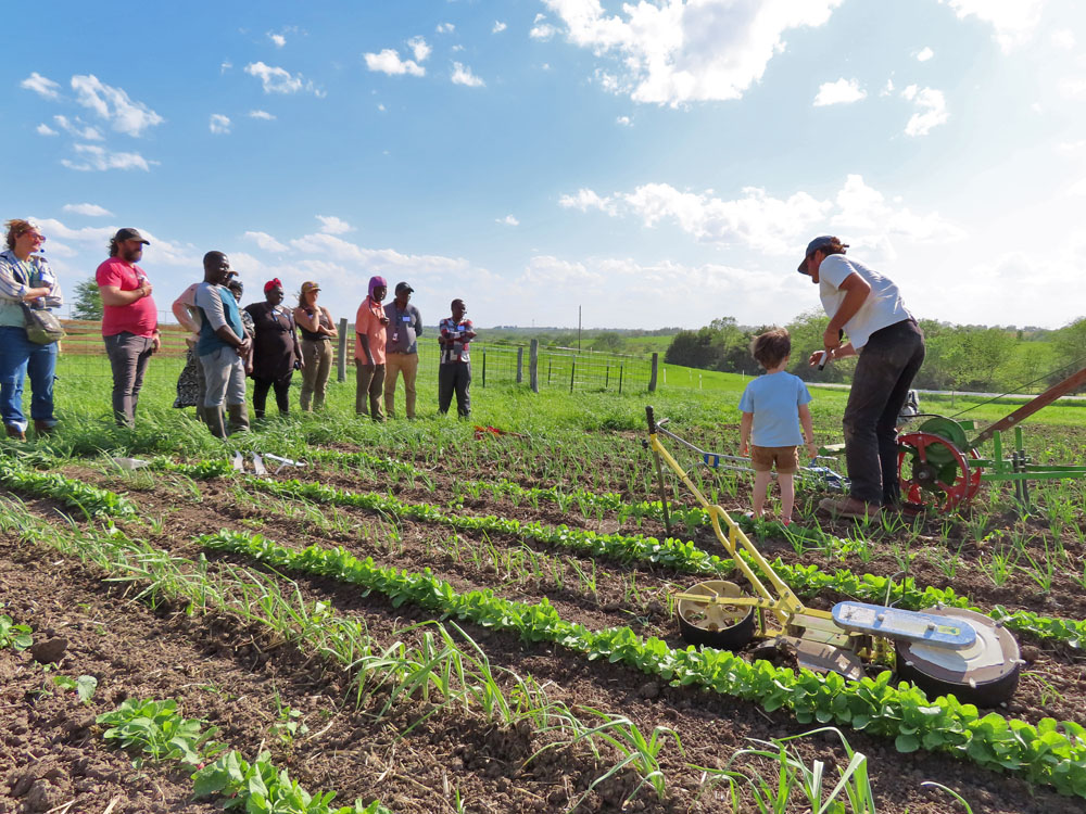the Practical Farmer: Summer 2025 - Practical Farmers of Iowa