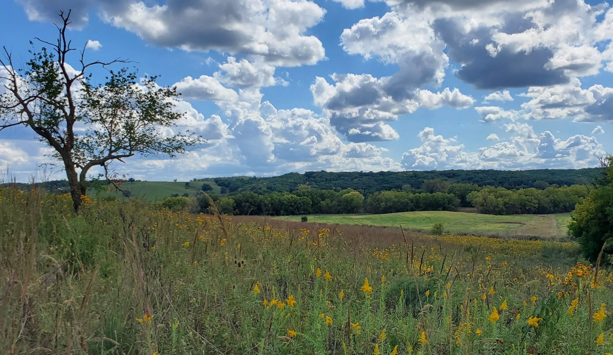 Ruth Rabinowitz conservation reserve program no till crop field oxbow lake