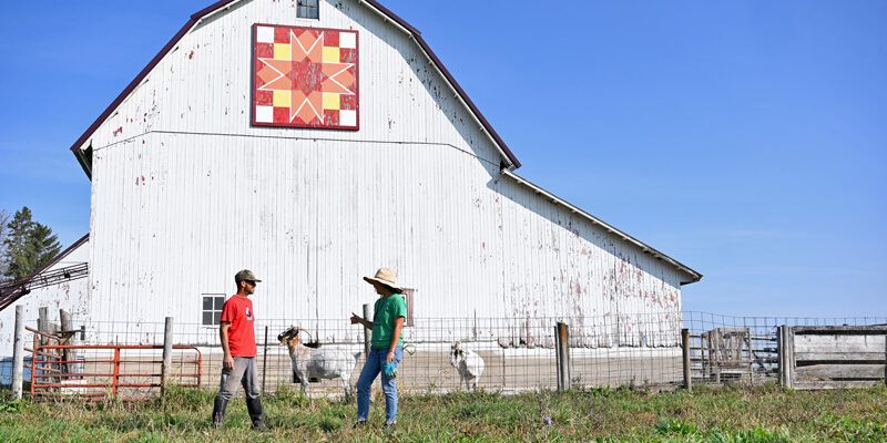 Wendy Johnson and Johnny - goat barn