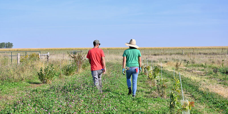 Wendy Johnson and partner walking in field