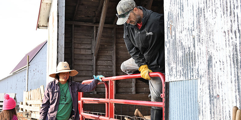 Wendy Johnson pig barn