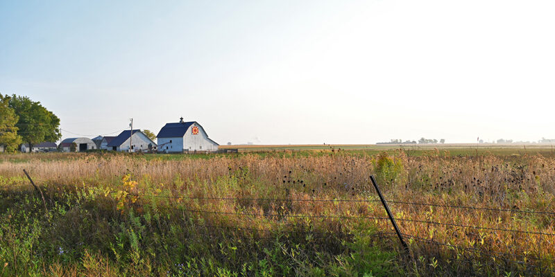 Farm buildings at Wendy Johnson farm