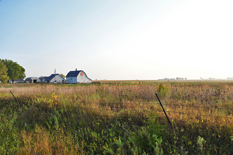 Farm buildings at Wendy Johnson farm