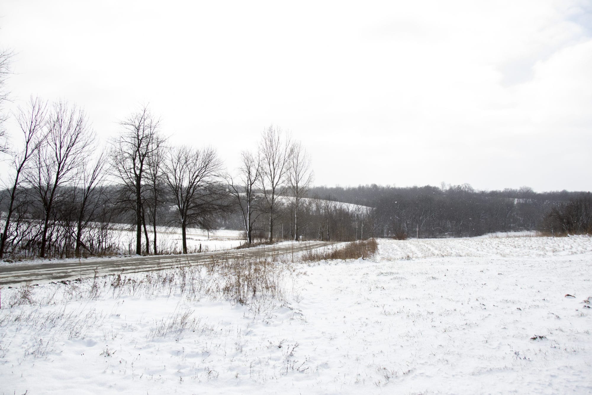 Farmers Invited to Practical Farmers of Iowa's 2025 Winter Webinar Series