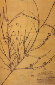 1837 Ioway map National Archives and Records Administration