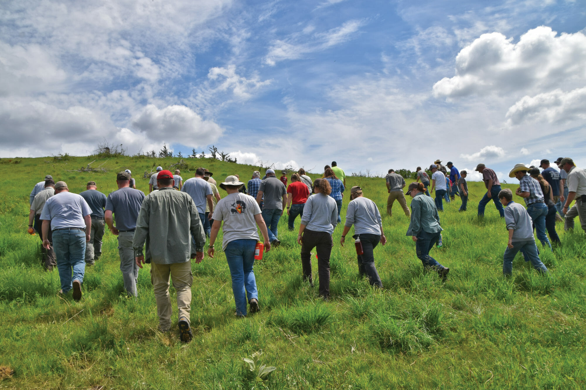 Field Day Photo Highlights 2019