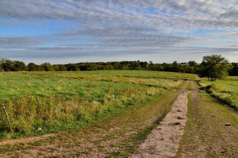 40 Years of Giving and Growing