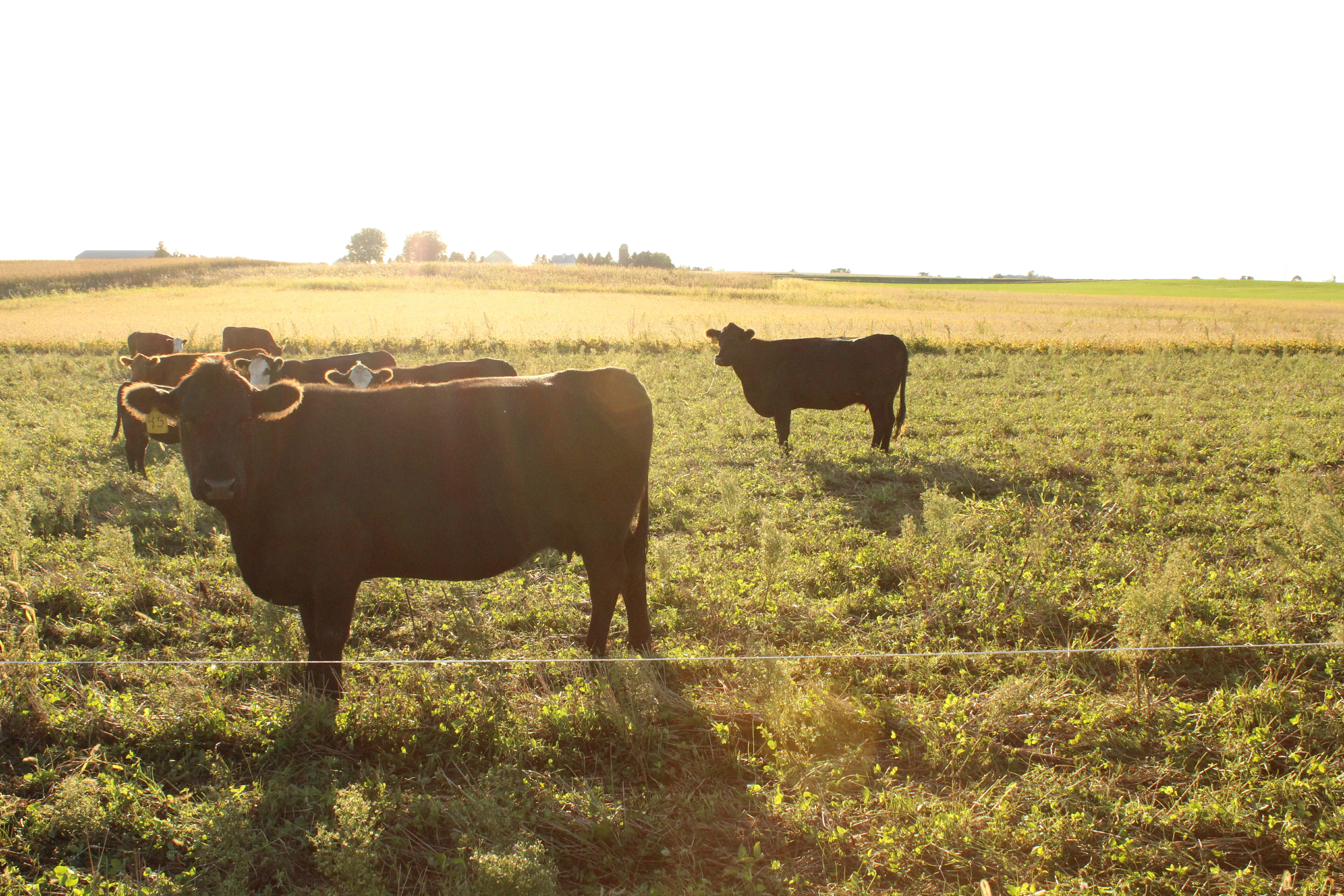 20191003 FarmVisit JPG 0013