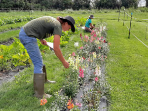 20210716 103602 Beebout