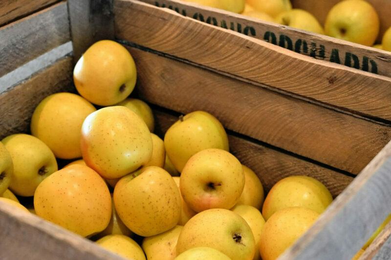 Consuming Locally Through PFI's Directories