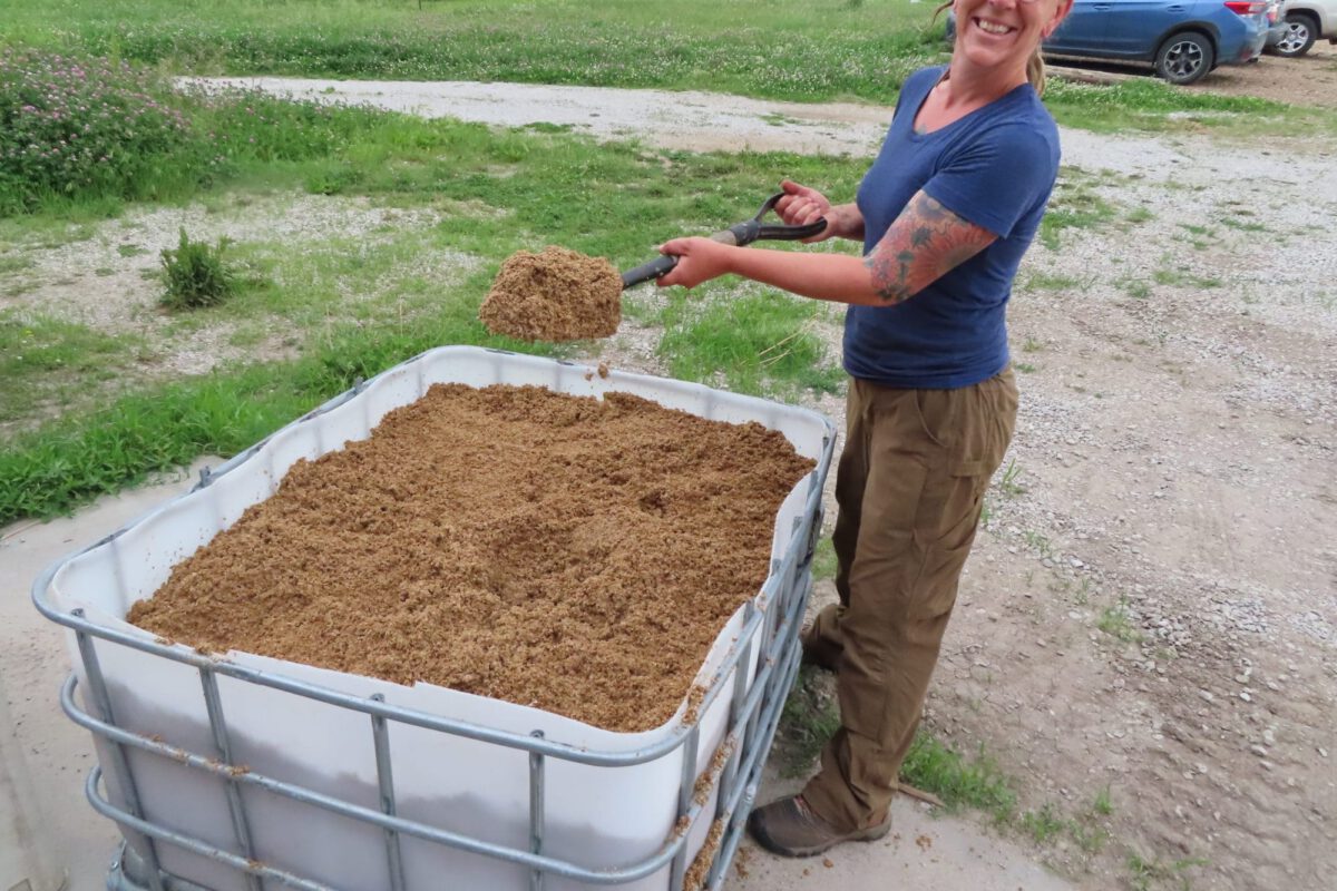 Brewers' Spent Grain as a Soil Amendment for Eggplant - 2024