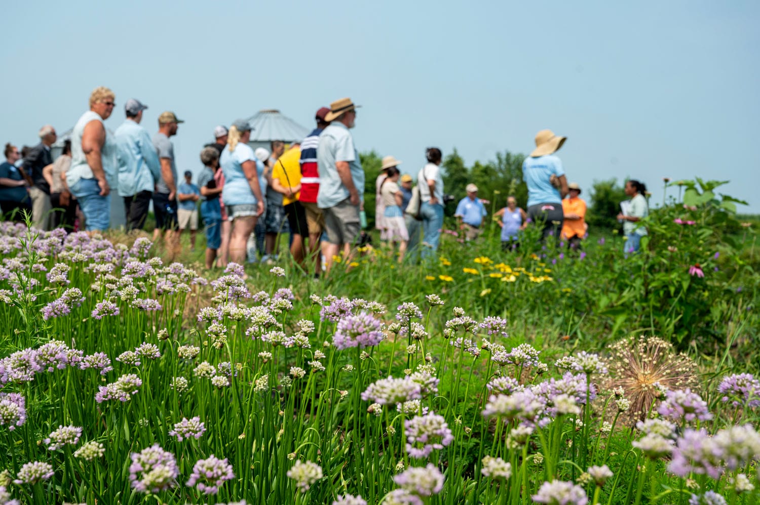 the Practical Farmer: Summer 2024