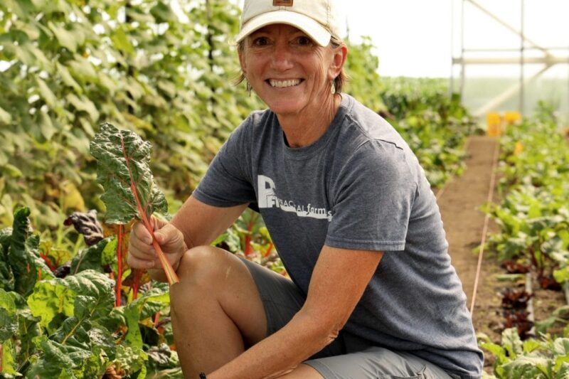 Shifting Gears: Vegetable Farmers Adapt to Their Changing Needs