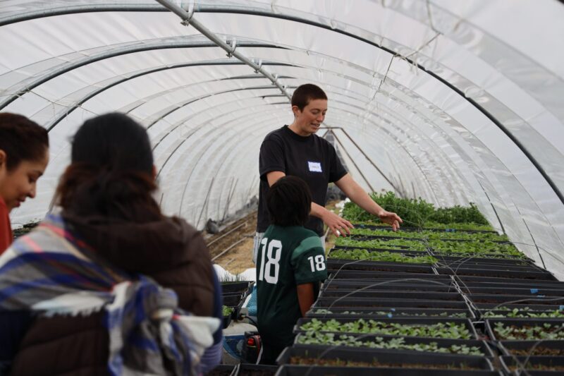 Preparing for the Growing Season on Rented Land – Spanish Field Day