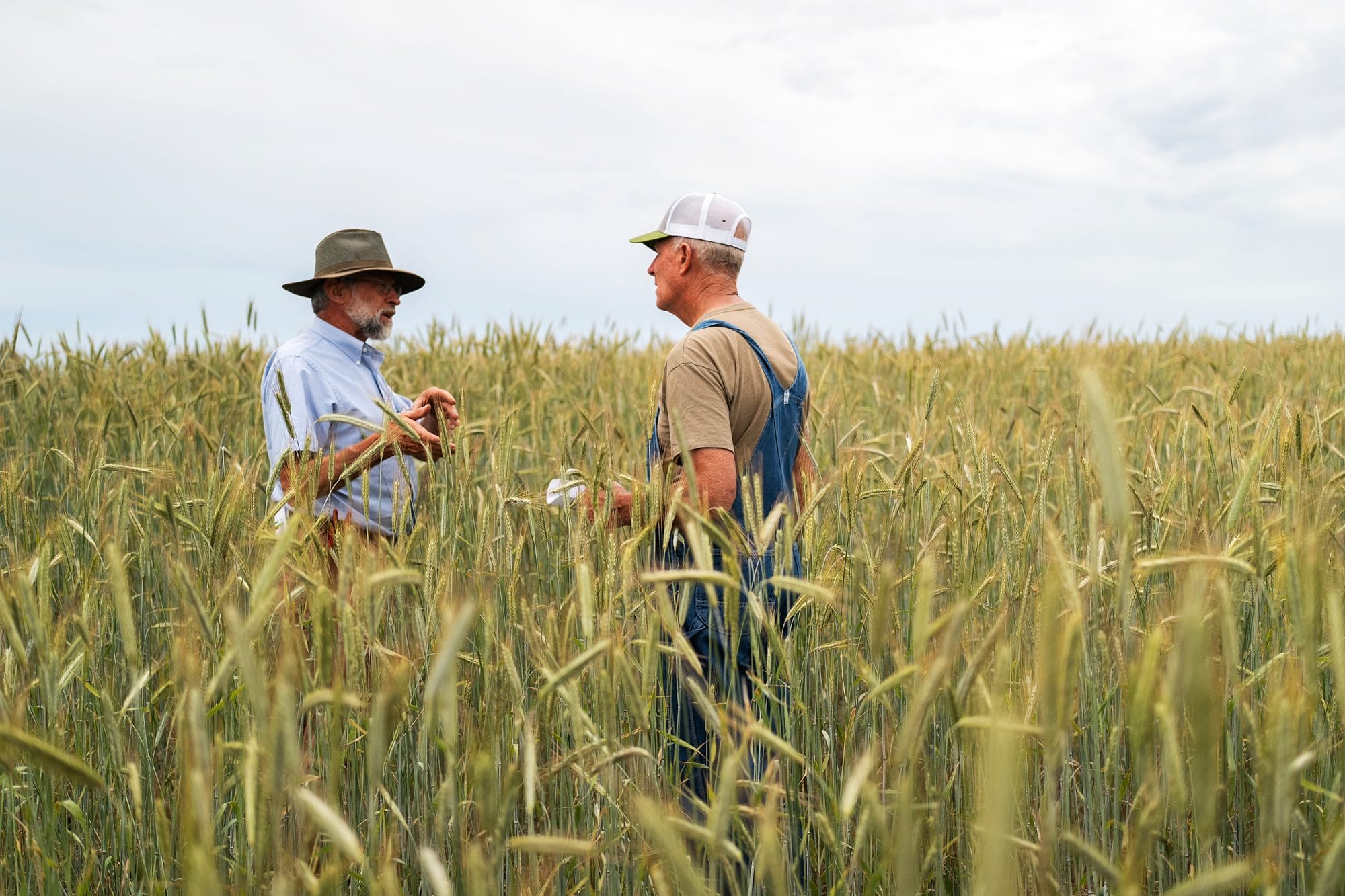 Midwest Covers & Grains Conference Coming to Washington, Illinois on March 4