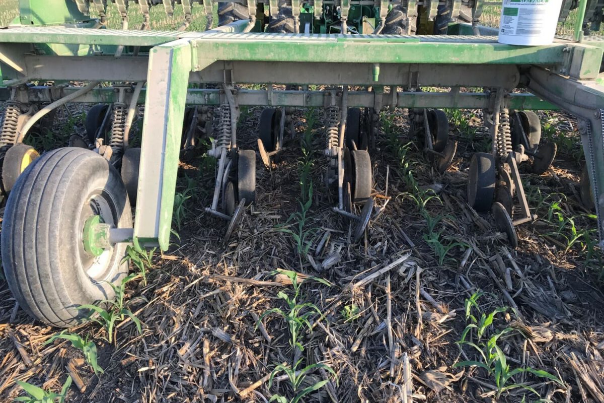 Interseeding Cover Crops to Corn at V2 Stage