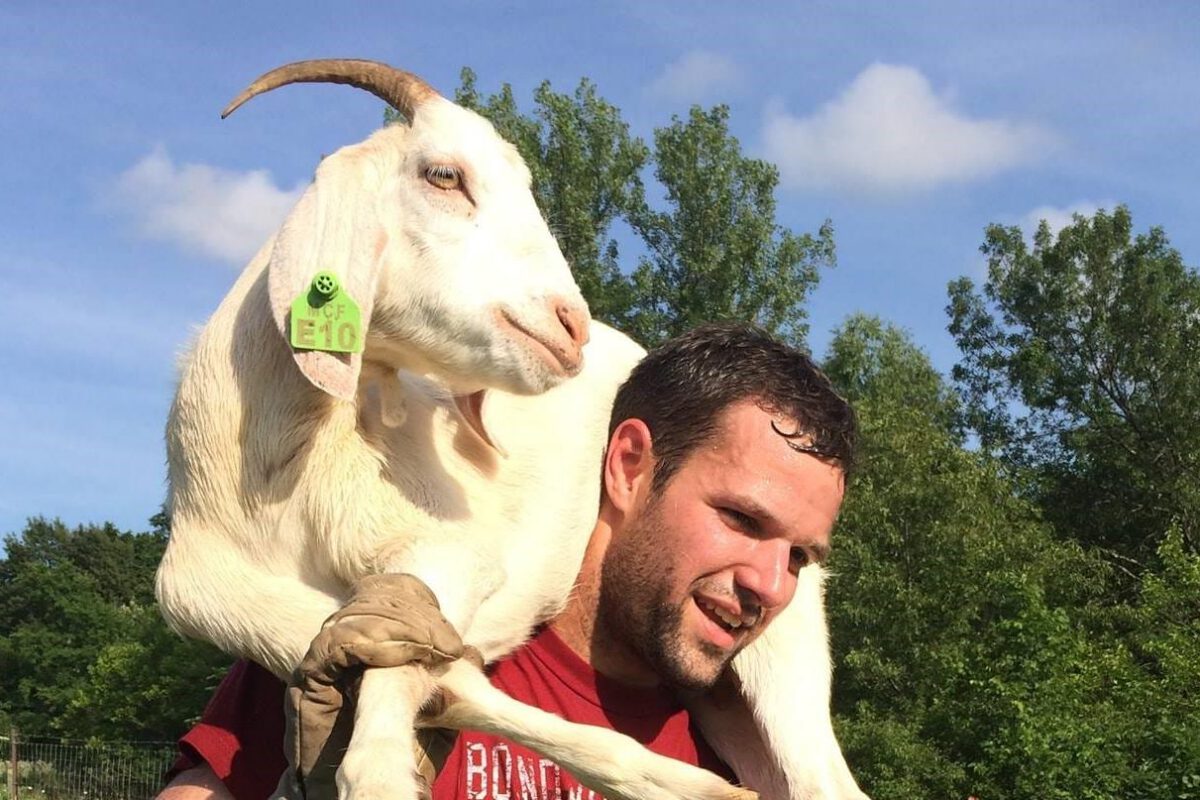 Registration open for Spanish workshop series on goat farming